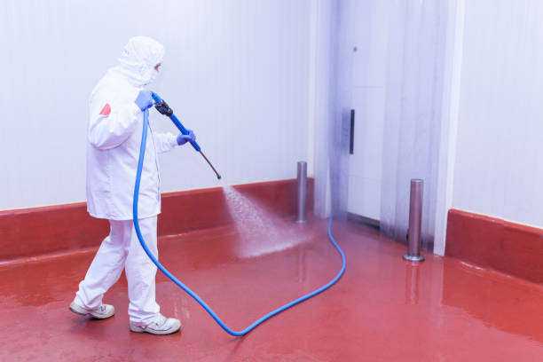 Best Driveway Pressure Washing  in Essex Fells, NJ