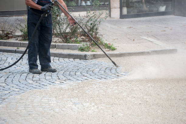 Best Pre-Holiday Cleaning  in Essex Fells, NJ