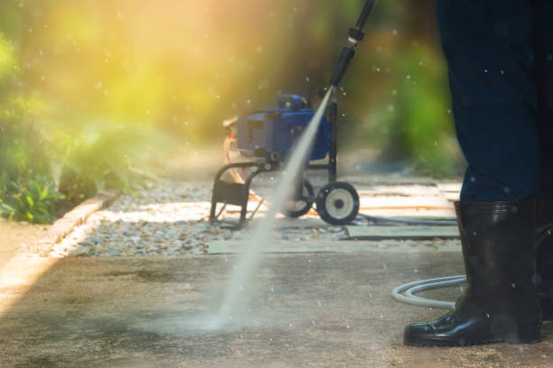 Best Roof Washing  in Essex Fells, NJ